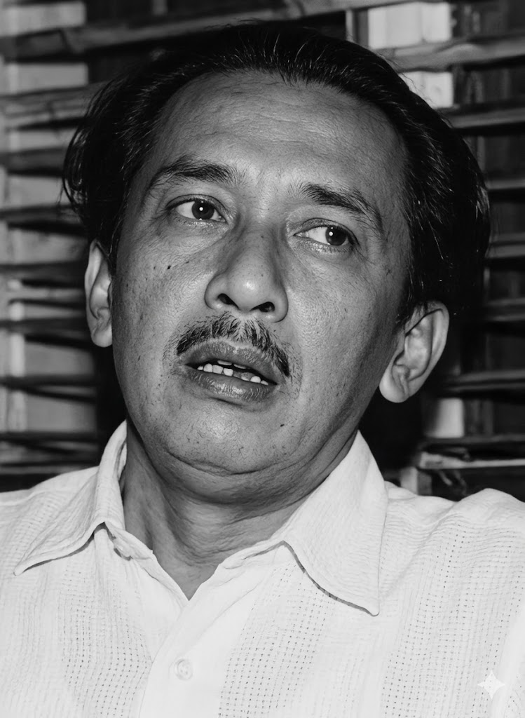 Picture of Ali Akbar Navis